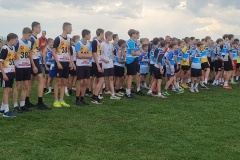 img_20250424_131213971