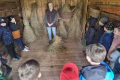 IMG-20250520-WA0030